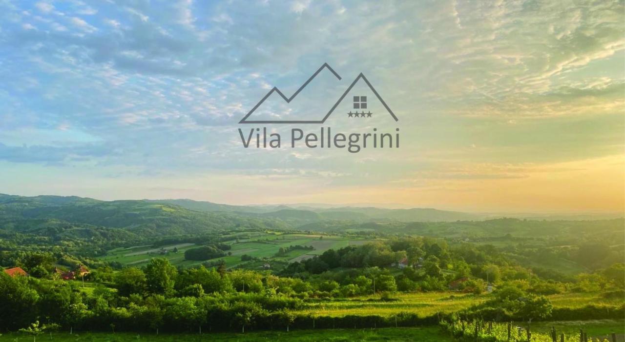 Vila Pellegrini Arandjelovac Kültér fotó