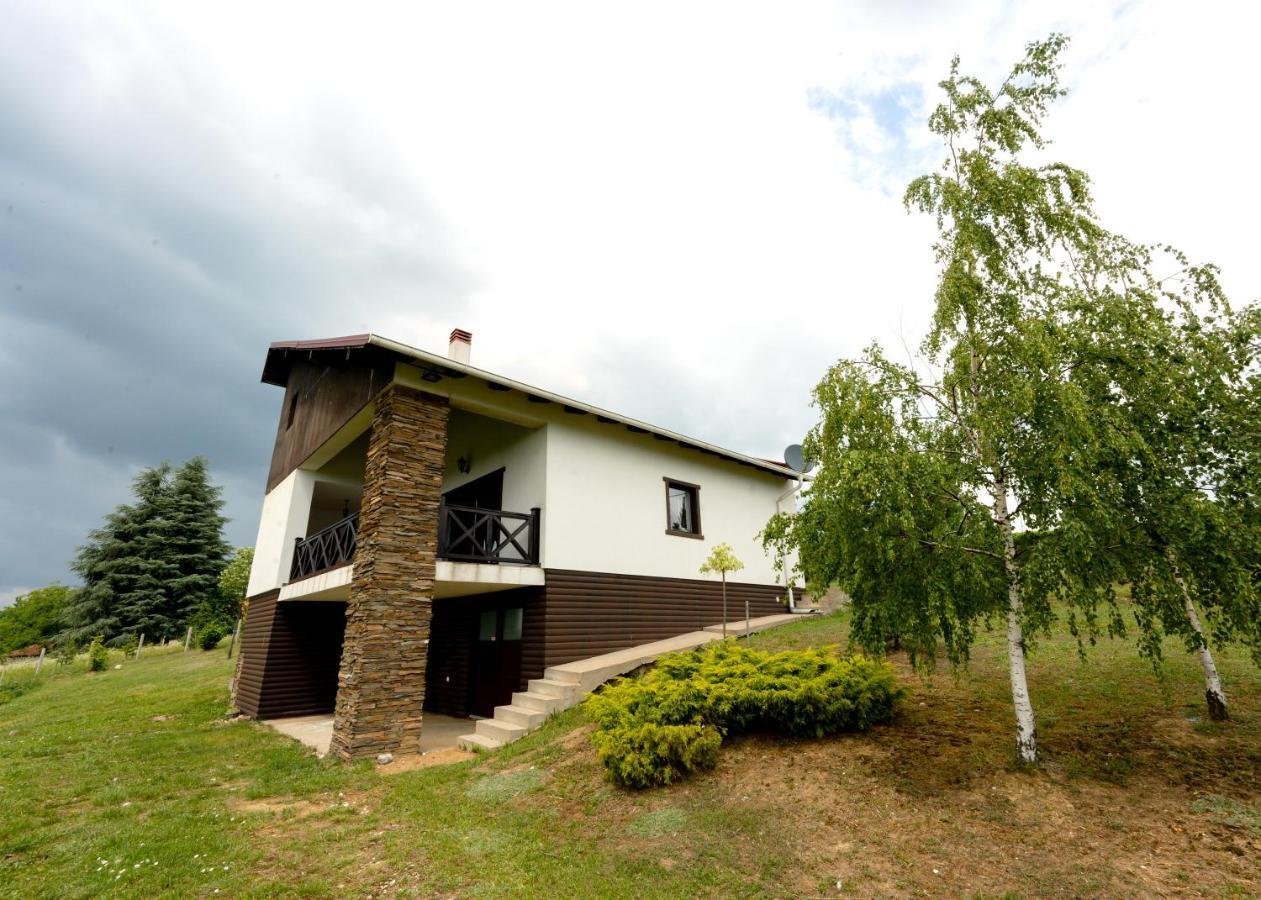 Vila Pellegrini Arandjelovac Kültér fotó